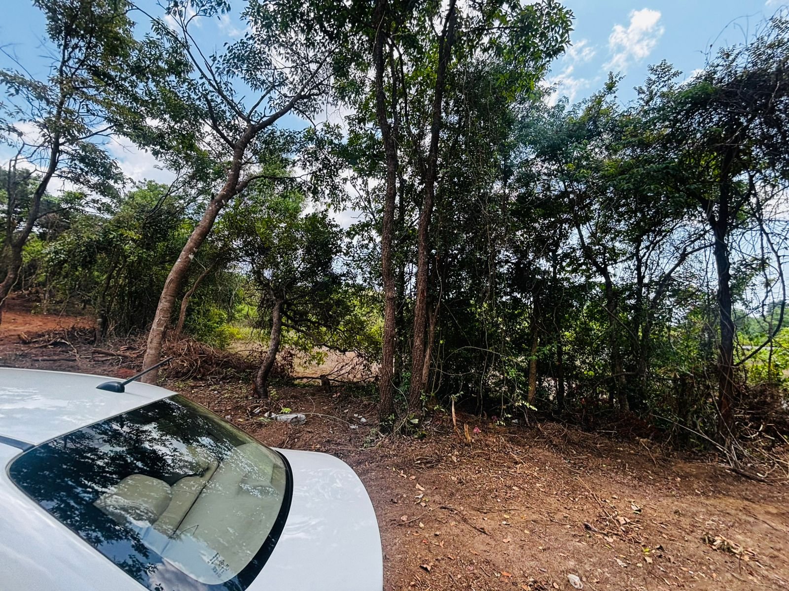 Prime Elevated Land in Sonurli ,Sindhudurg North Goa Corridor | Villas, Layouts & Resort Projects gallery image