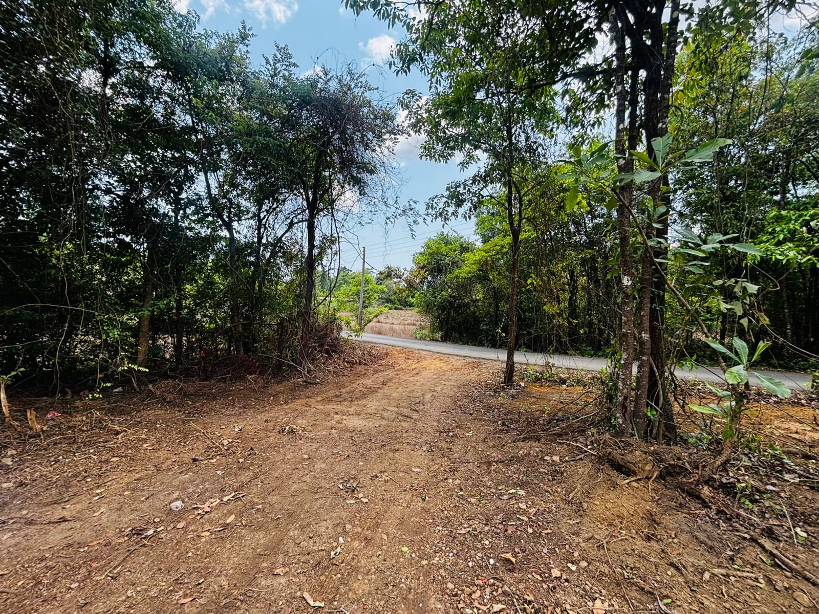 Prime Elevated Land in Sonurli ,Sindhudurg North Goa Corridor | Villas, Layouts & Resort Projects gallery image