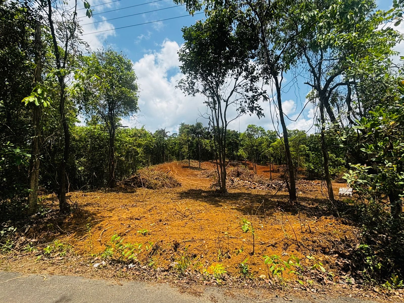 Prime Elevated Land in Sonurli ,Sindhudurg North Goa Corridor | Villas, Layouts & Resort Projects gallery image