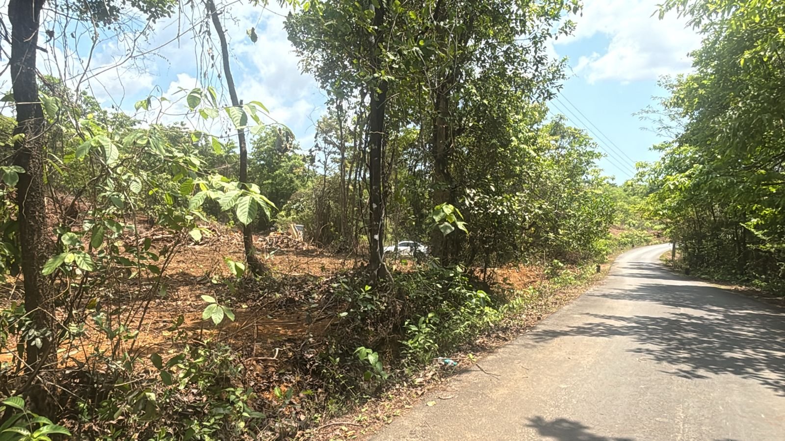 Prime Elevated Land in Sonurli ,Sindhudurg North Goa Corridor | Villas, Layouts & Resort Projects gallery image