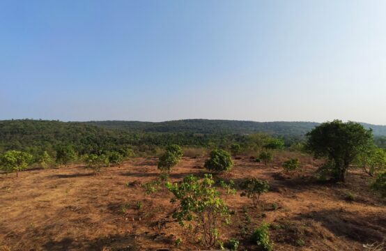 45,000sqm partly settled land in Bicholim Goa