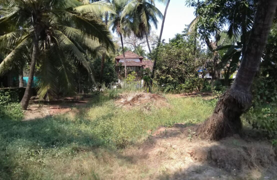 500sqm Rectangular Plot with Goan Village Ambience, 40m off NH17/NH66